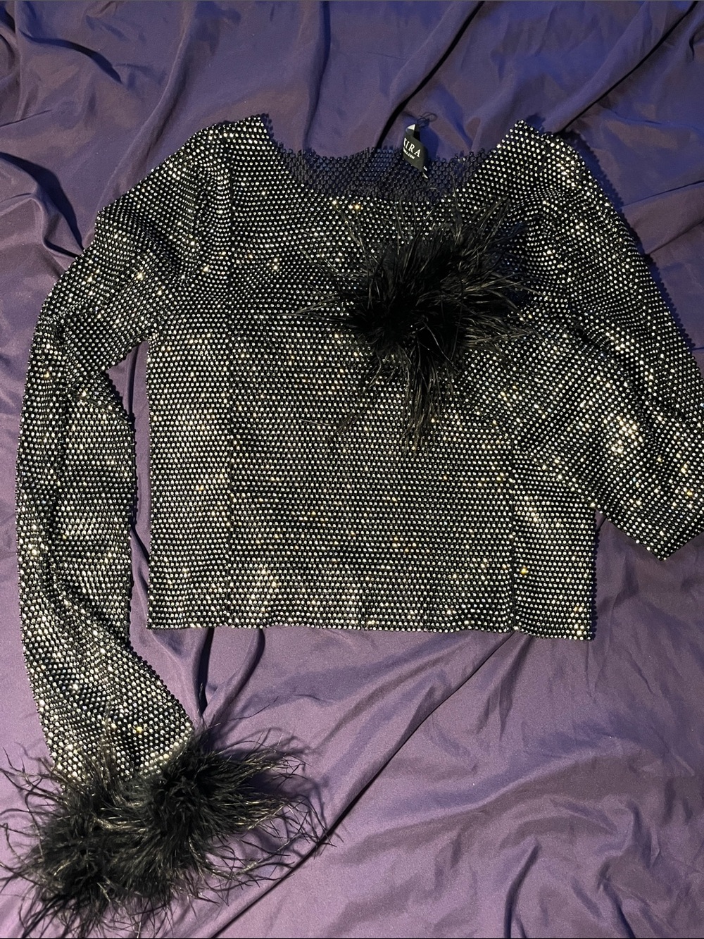 AKIRA Black Metallic Mesh Long Sleeve Top with Feather Accents